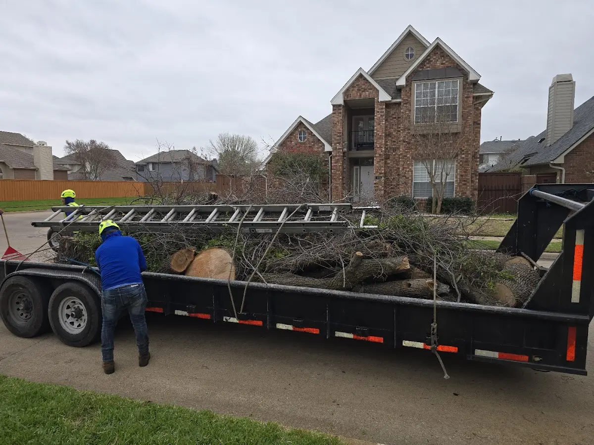 Expert Tree Fertilization with proper safety equipment in Pomona